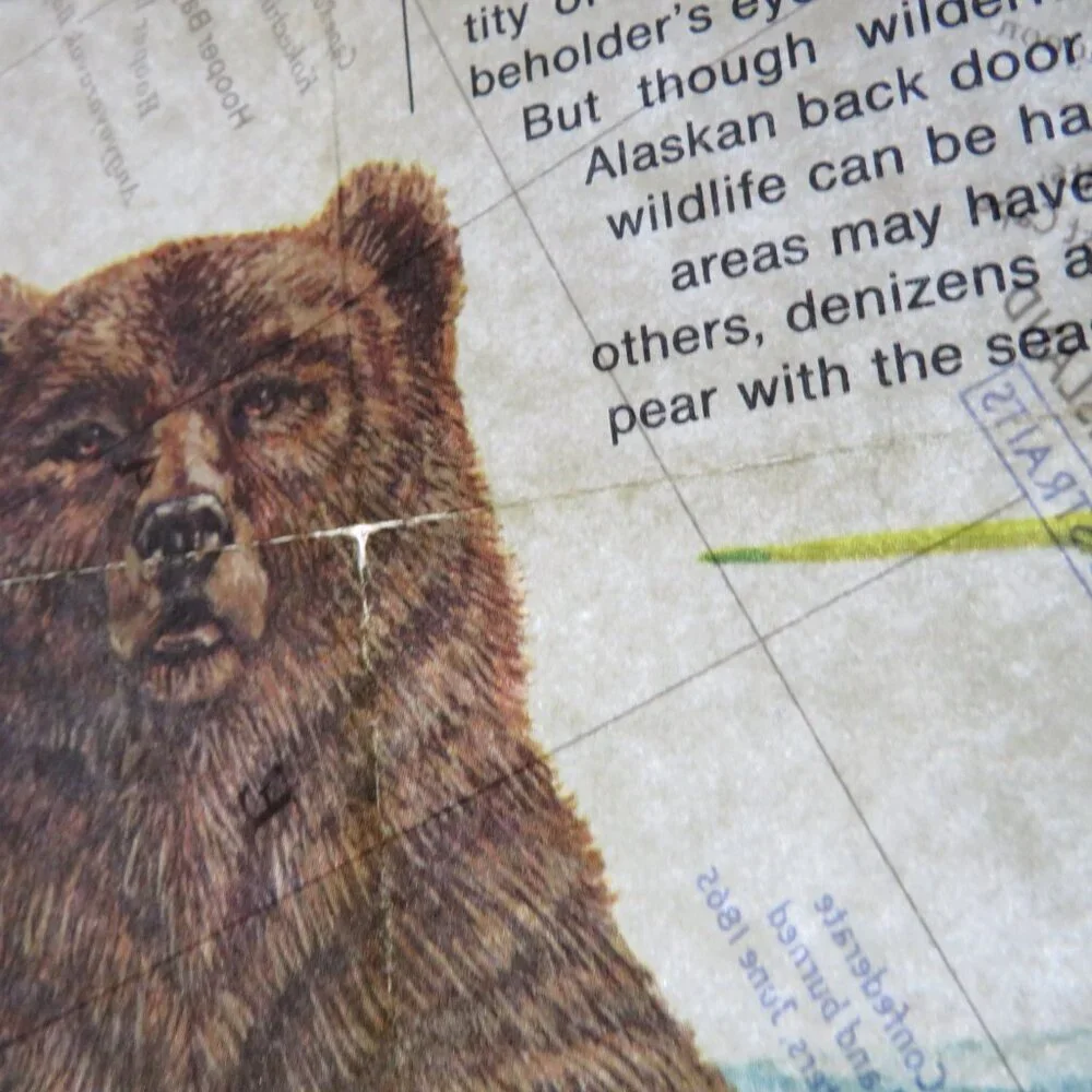Nat Geo 1975 ALASKA MAP with info on back